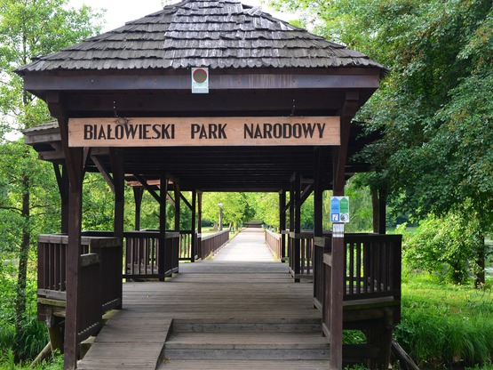 Białowieża