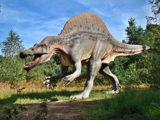 Park Dinozaurów Jurowce